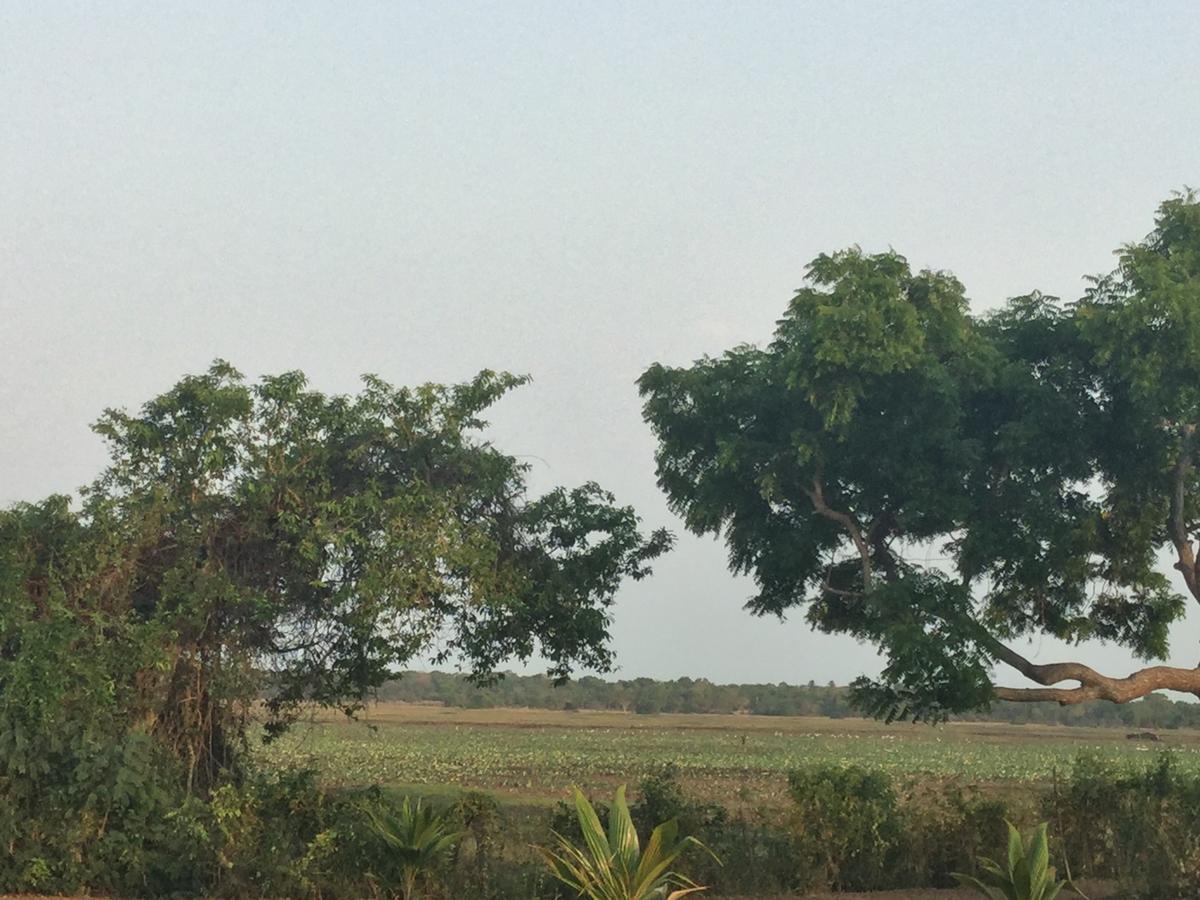 Captain'S Bird Safari Lodge Puttalam Exteriör bild