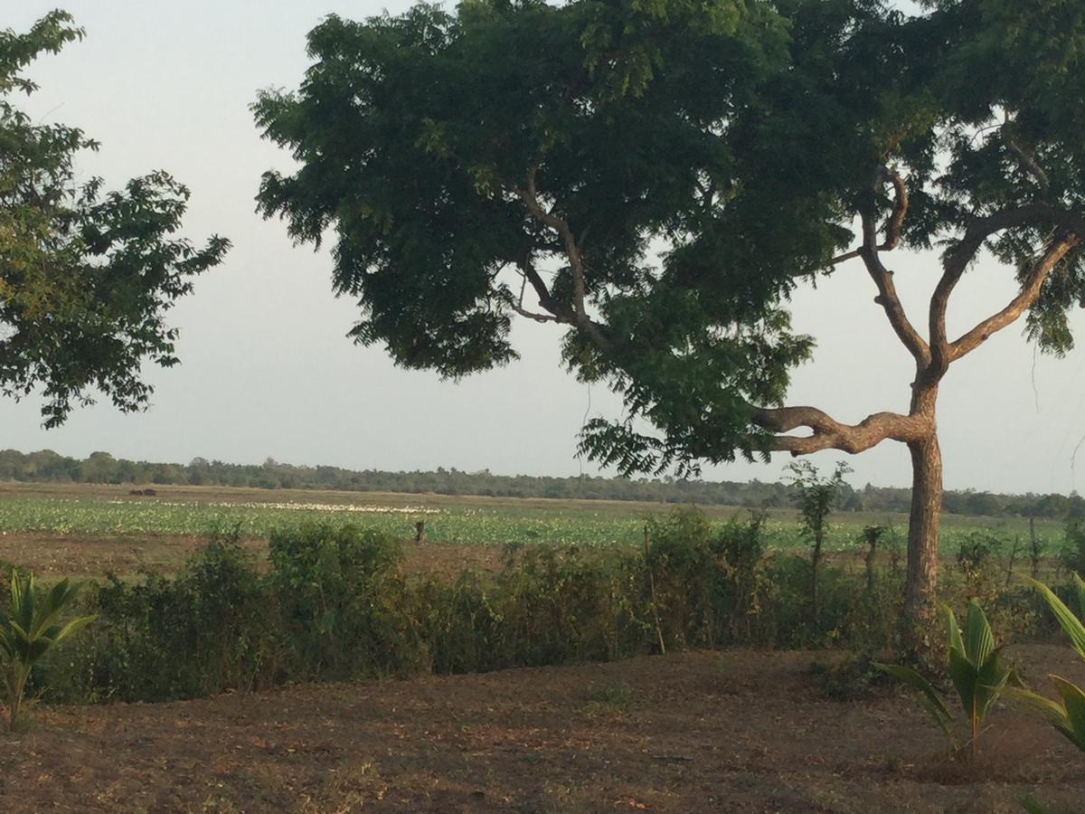 Captain'S Bird Safari Lodge Puttalam Exteriör bild