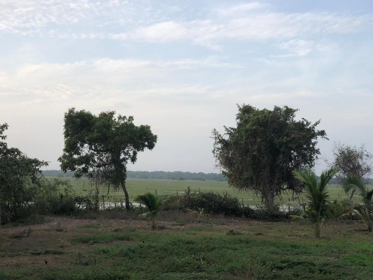 Captain'S Bird Safari Lodge Puttalam Exteriör bild