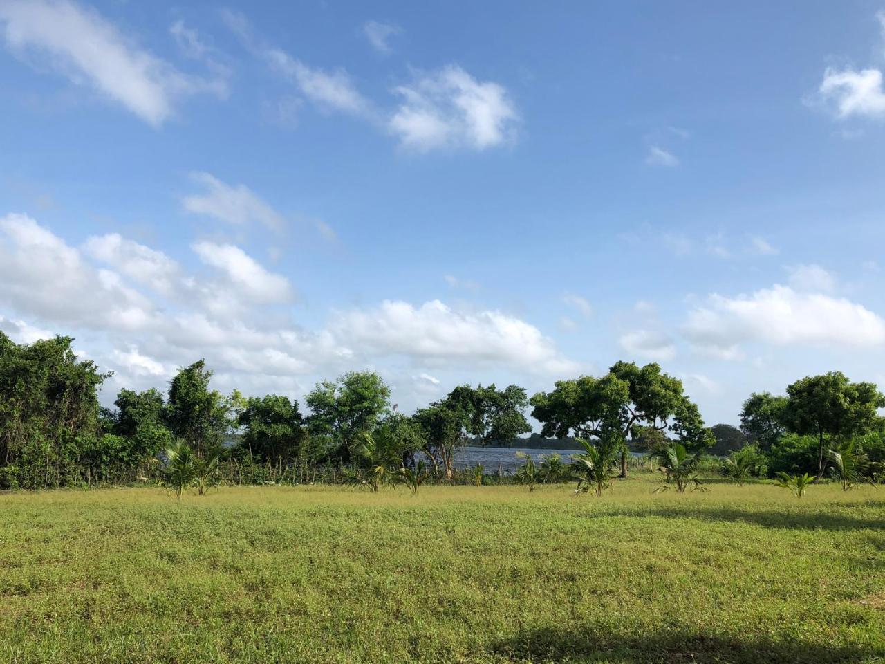 Captain'S Bird Safari Lodge Puttalam Exteriör bild