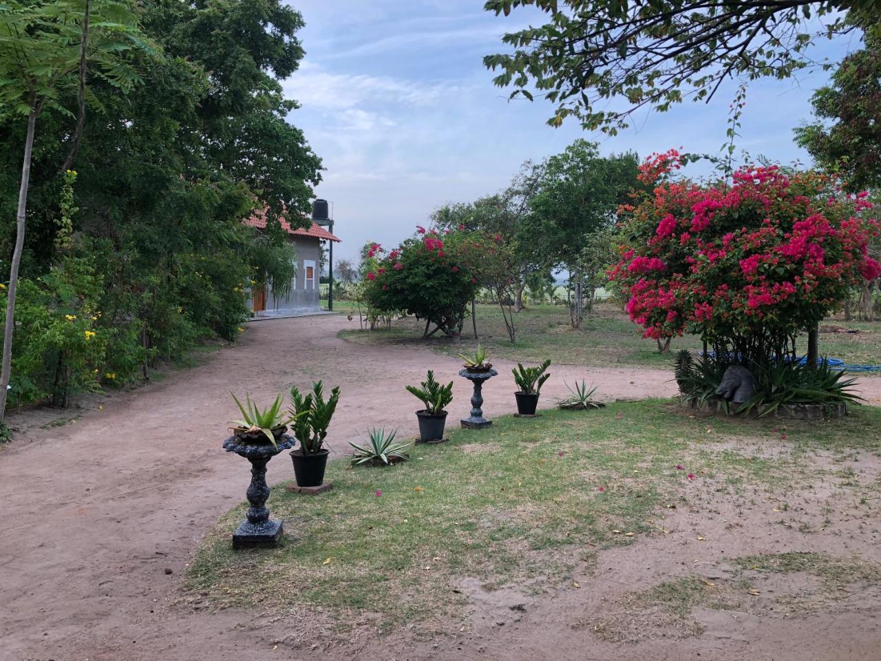 Captain'S Bird Safari Lodge Puttalam Exteriör bild