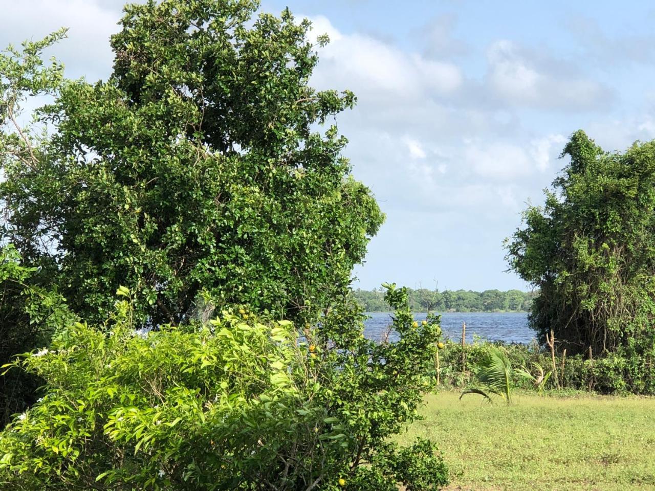 Captain'S Bird Safari Lodge Puttalam Exteriör bild