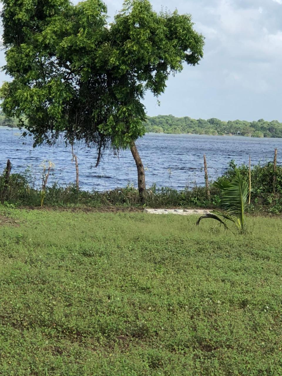 Captain'S Bird Safari Lodge Puttalam Exteriör bild