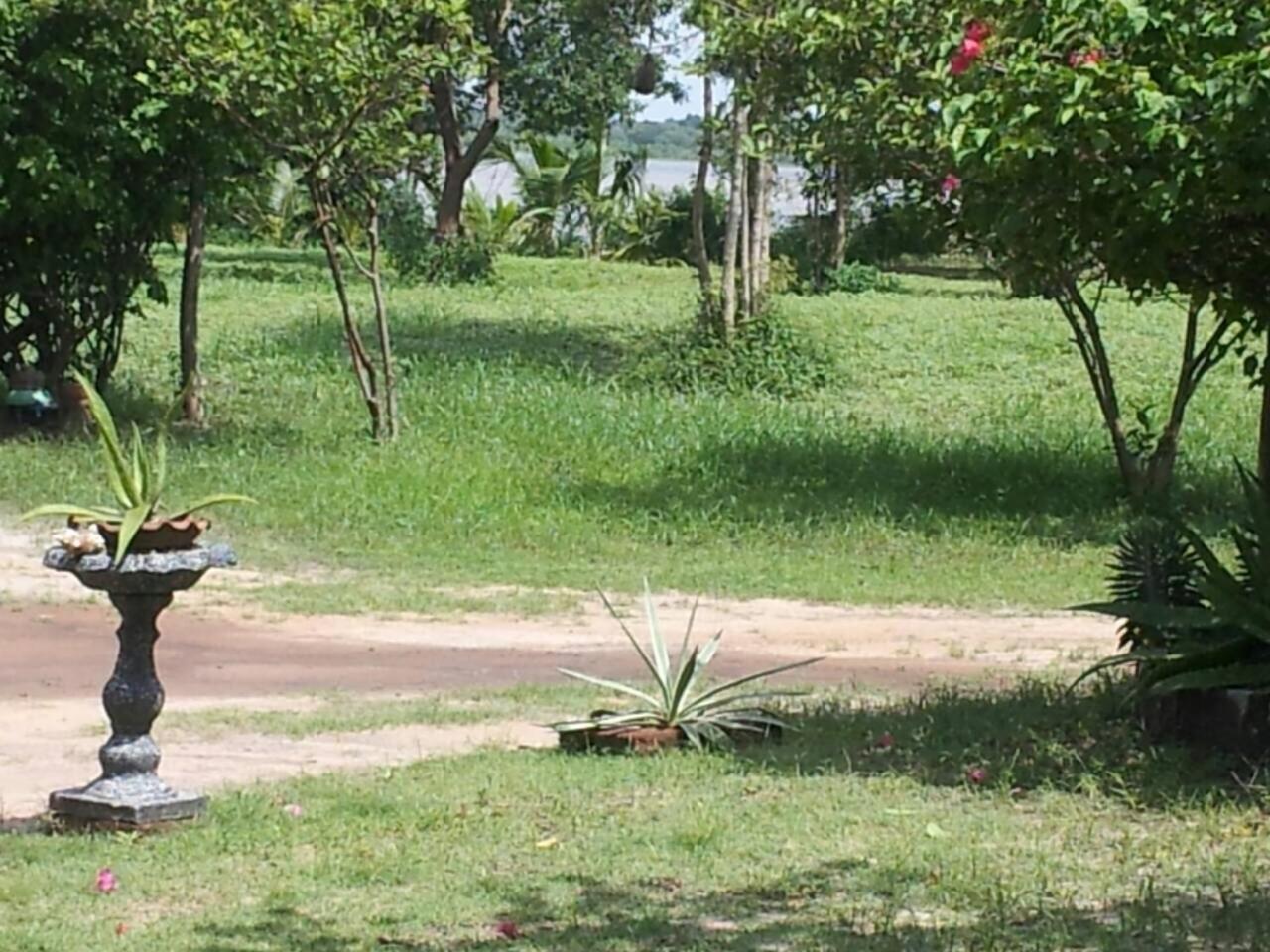 Captain'S Bird Safari Lodge Puttalam Exteriör bild