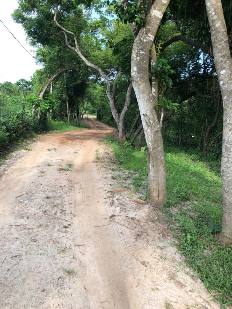 Captain'S Bird Safari Lodge Puttalam Exteriör bild