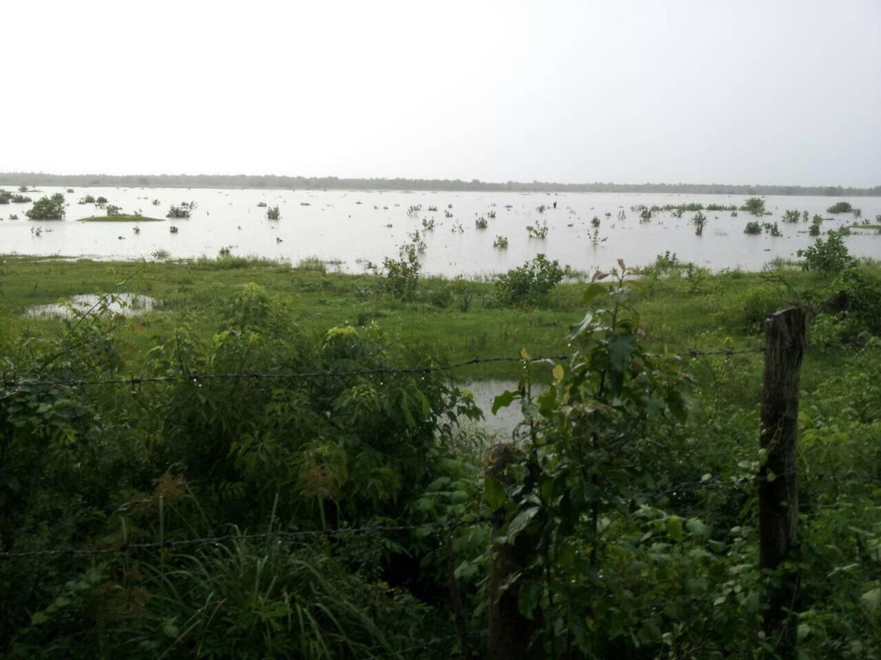 Captain'S Bird Safari Lodge Puttalam Exteriör bild